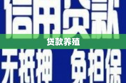 金湾贷款养殖