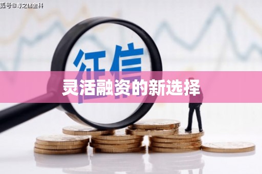 金湾灵活融资的新选择