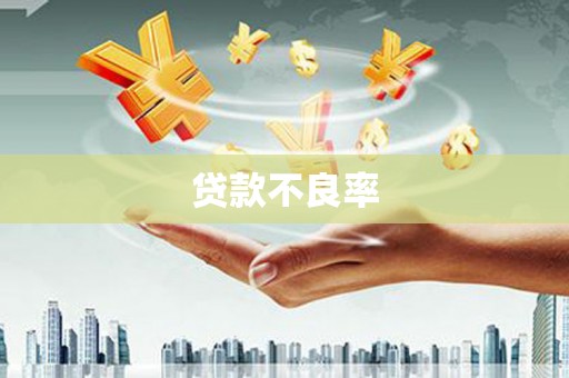 金湾贷款不良率