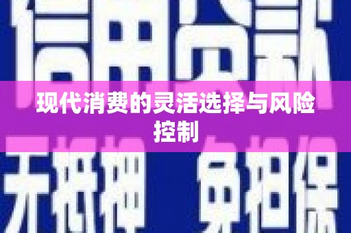 金湾现代消费的灵活选择与风险控制