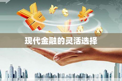金湾现代金融的灵活选择