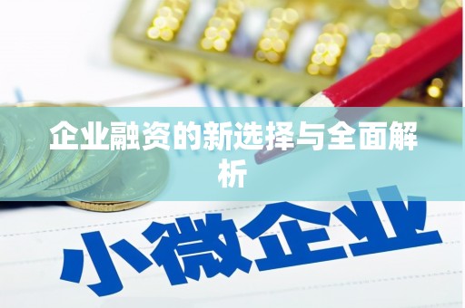 金湾企业融资的新选择与全面解析