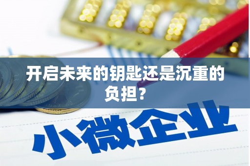 金湾开启未来的钥匙还是沉重的负担？