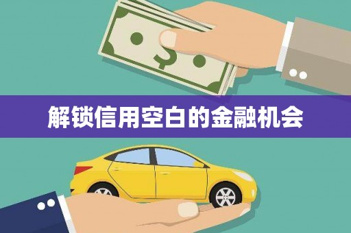 金湾解锁信用空白的金融机会