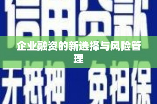 金湾企业融资的新选择与风险管理