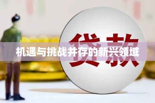 金湾机遇与挑战并存的新兴领域