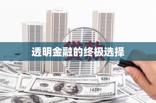 金湾透明金融的终极选择