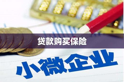 金湾贷款购买保险
