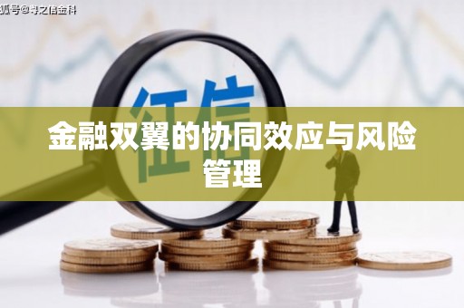 金湾金融双翼的协同效应与风险管理
