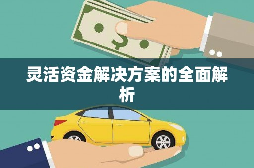 金湾灵活资金解决方案的全面解析