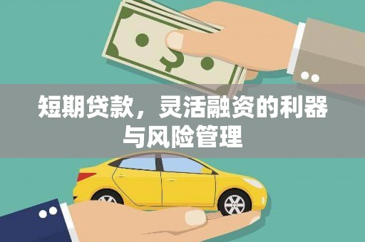 金湾短期贷款，灵活融资的利器与风险管理