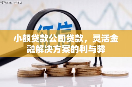 金湾小额贷款公司贷款，灵活金融解决方案的利与弊