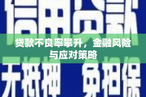 金湾贷款不良率攀升，金融风险与应对策略