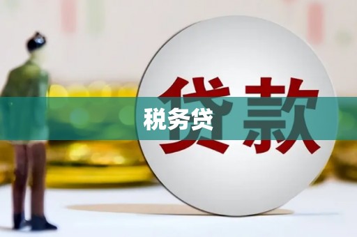 金湾税务贷